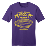 The Metrodome - Football